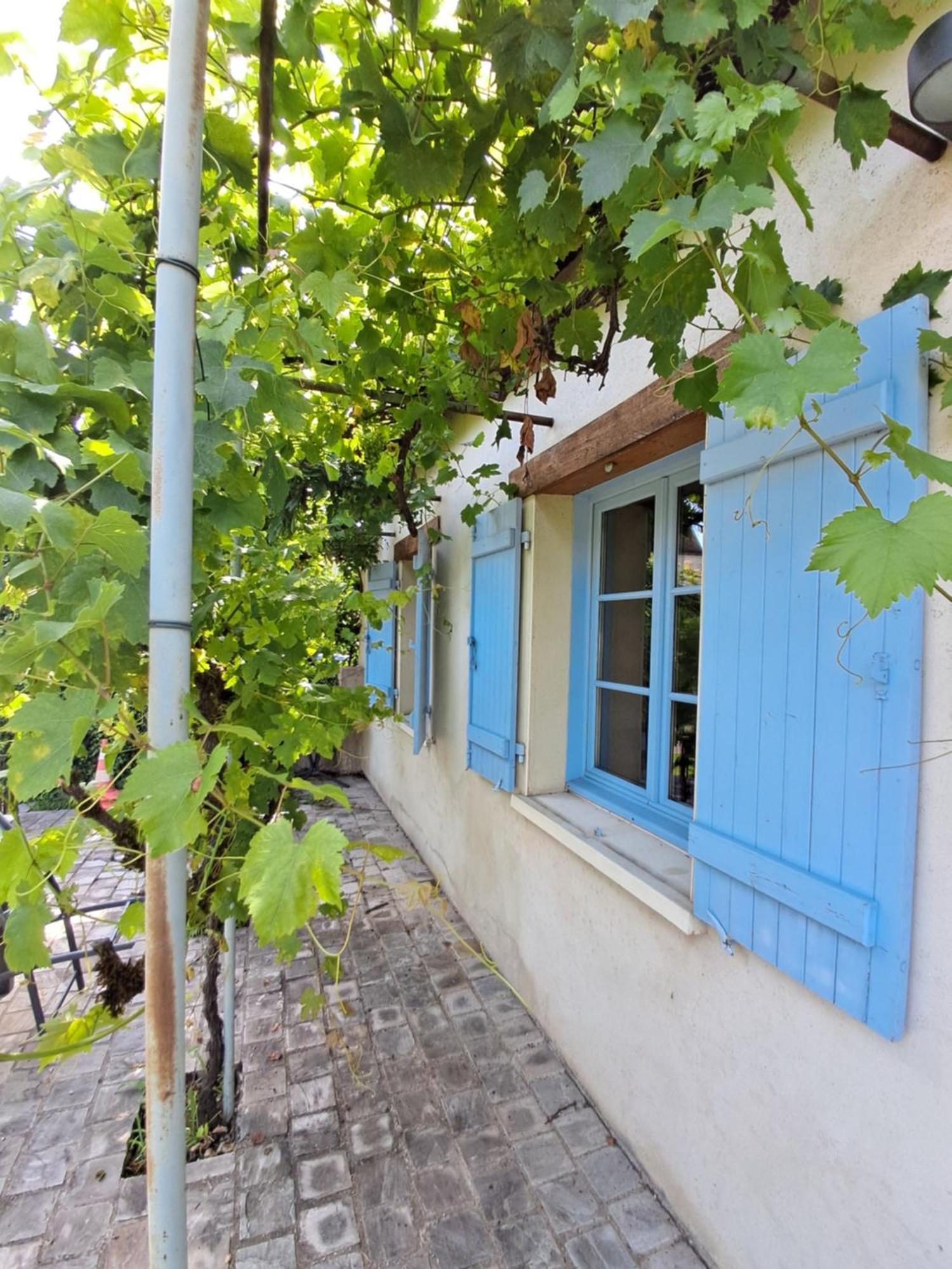 Villa Les Annexes Verdun-sur-le-Doubs Exterior foto